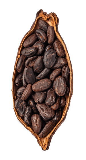 ahban-premium-quality-beans