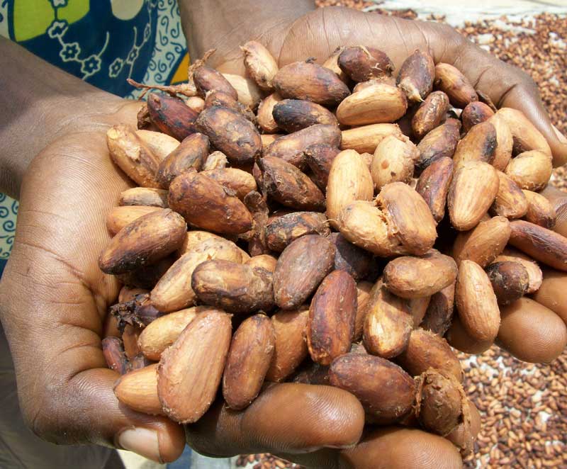 ahban-premium-queality-beans